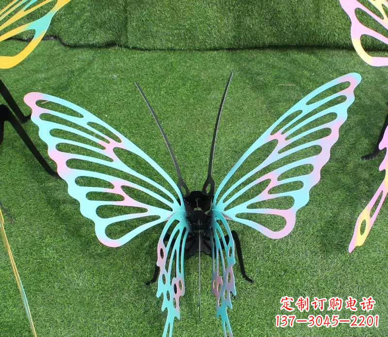 鹤壁彩色不锈钢镂空蝴蝶雕塑精美又充满生机