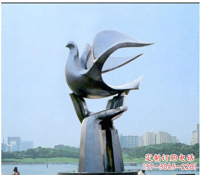 鹤壁静谧之鸽,传递和平象征~