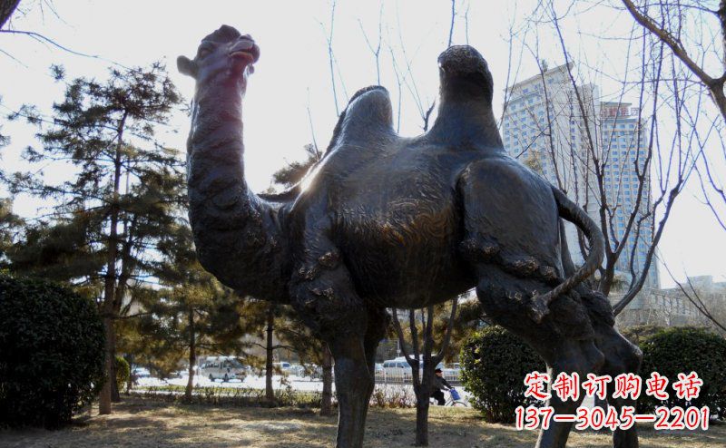 鹤壁公园骆驼动物铜雕 (5)