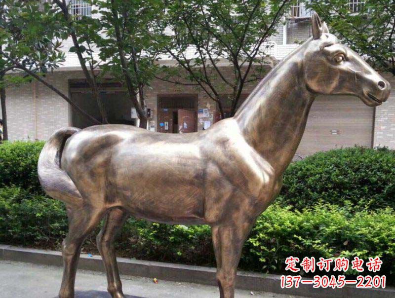鹤壁精美铜雕动物