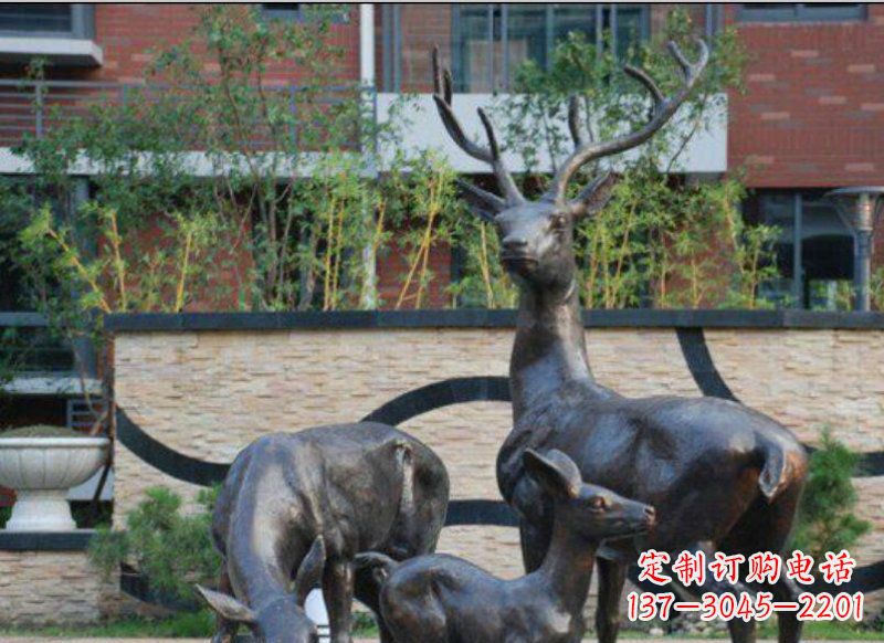 鹤壁古雅优雅的梅花鹿铜雕