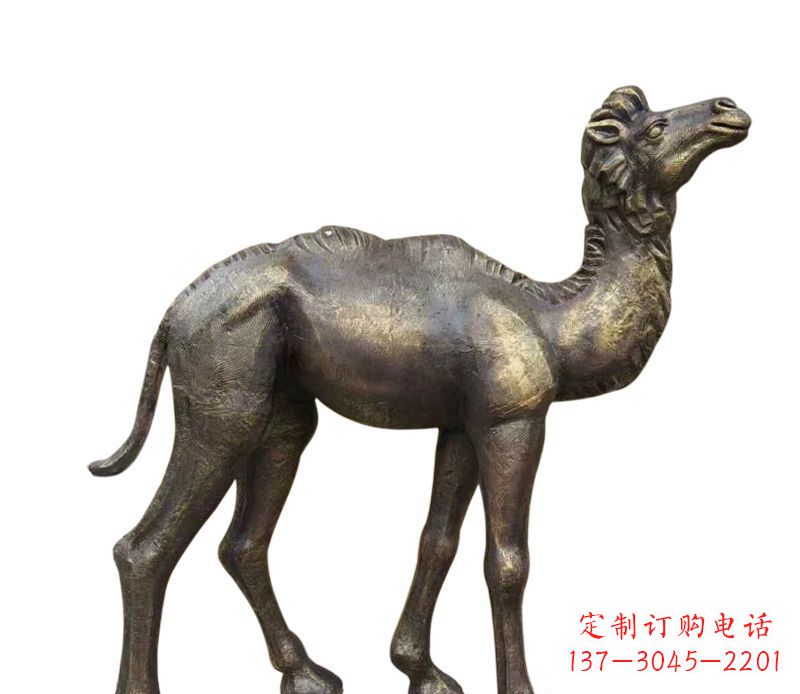 鹤壁奇美洁净的骆驼铜雕