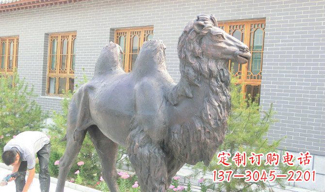 鹤壁精美的骆驼铜雕,提升您的公园气质