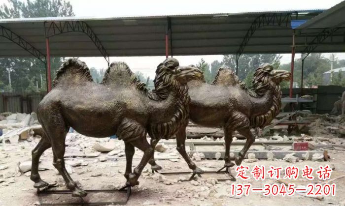 鹤壁骆驼动物铜雕 (4)