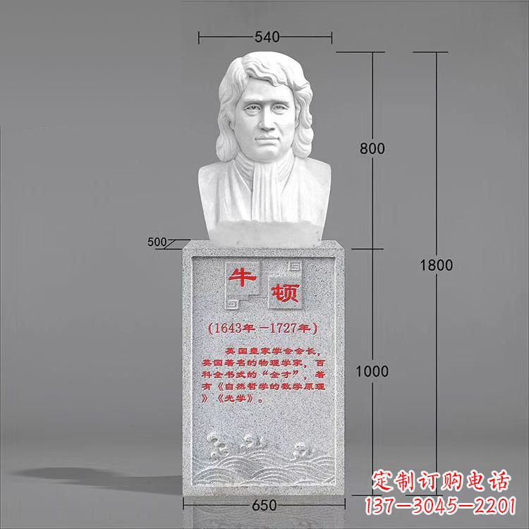 鹤壁艺术精灵:牛顿汉白玉石头像雕塑