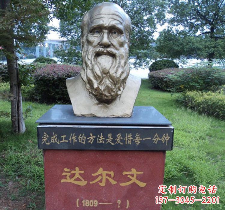 鹤壁铜雕达尔文头像雕塑