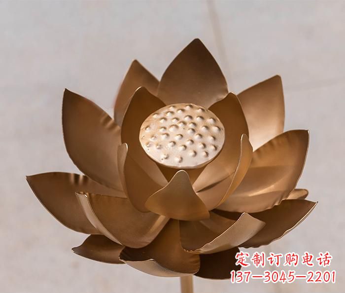 鹤壁铜雕景观荷花