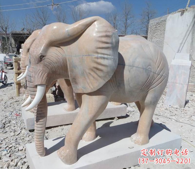 鹤壁晚霞红卷鼻大象