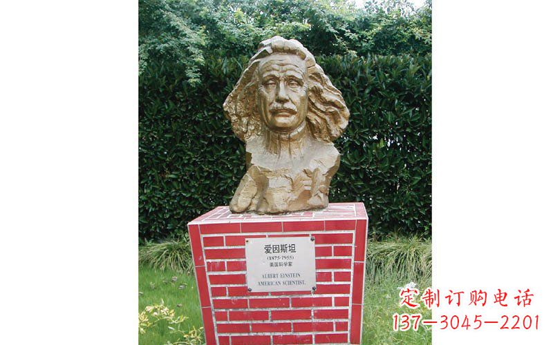 鹤壁西方名人爱因斯坦头像铜雕